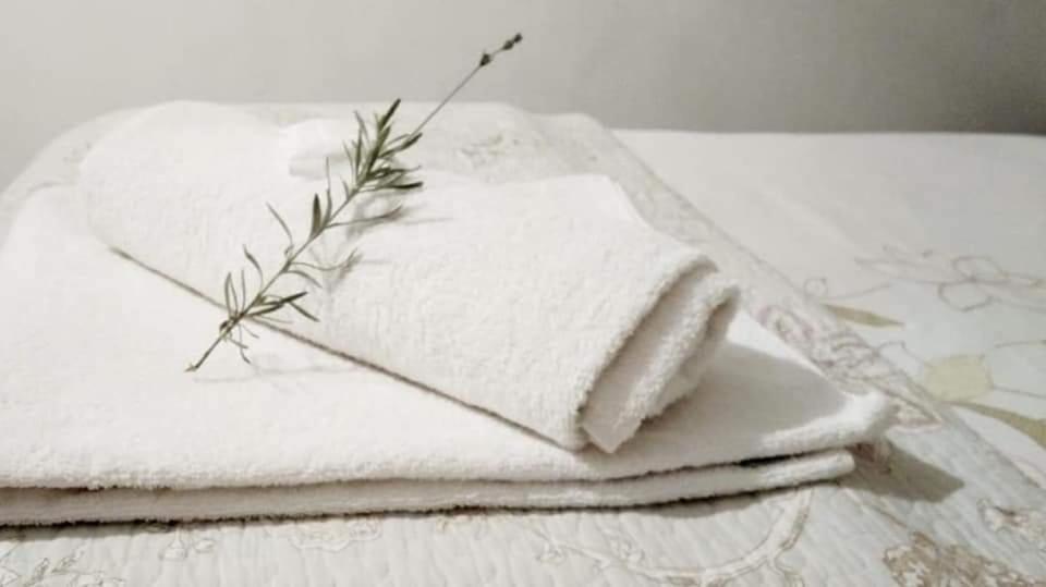 Aandrus Guesthouse Bloemfontein Dış mekan fotoğraf